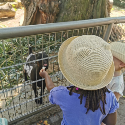 Ausflug in den Tierpark