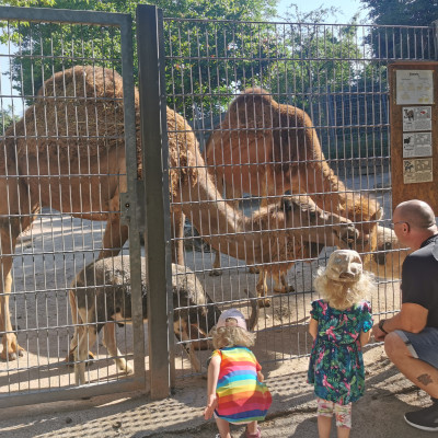 Abschiedsausflug Abschiedsausflug