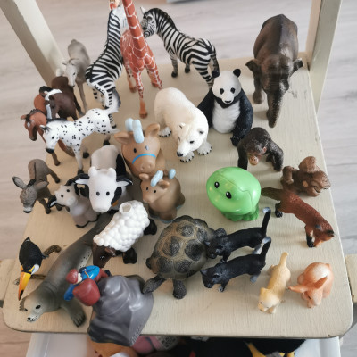 Schleichtiere anschauen