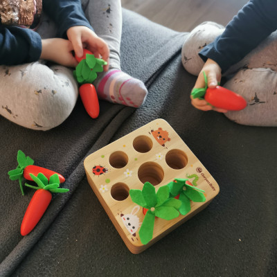 Steckspiel Steckspiel