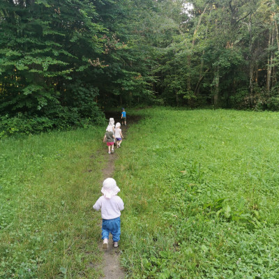 Ab in den Wald