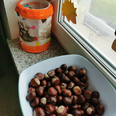 Kastanien sammeln Kastanien sammeln