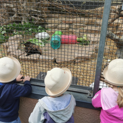 Nymphea 2024 Nymphea 2024