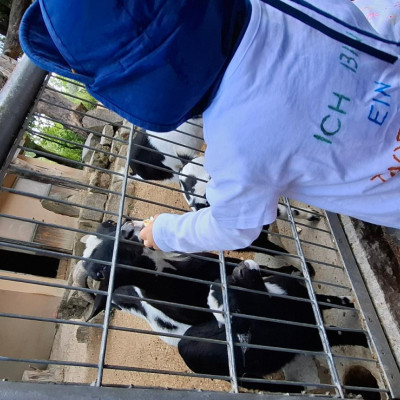 Nymphea 2025 Nymphea 2025