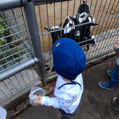 Nymphea 2025 Nymphea 2025