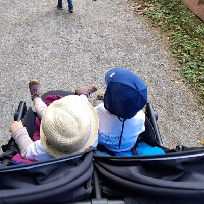 Nymphea 2025 Nymphea 2025