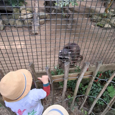 Nymphea 2025 Nymphea 2025